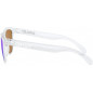 LUNETTES FROGSKINS VIOLET POLARIZED CLEAR PRIZM