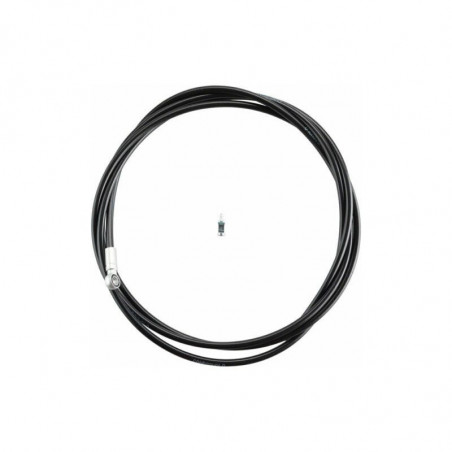 DURITE DE FREIN CAMPAGNOLO AVEC EMBOUT + BANJO