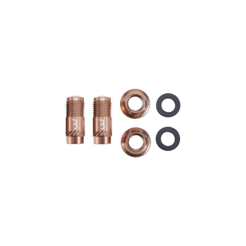 BBB CYCLING  TUBLESS CORECAP VALVE TIP