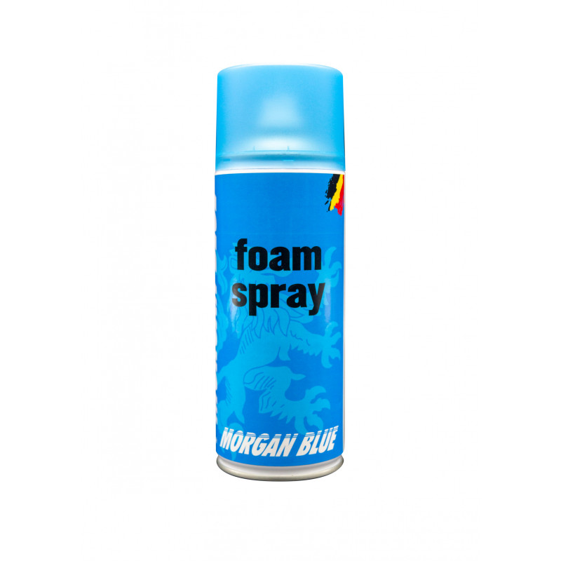 POLISH FOAM SPRAY 400CC